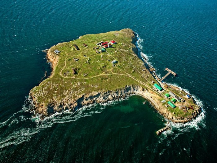 Остров Змeиный: как он выглядит и чем он так ценен?