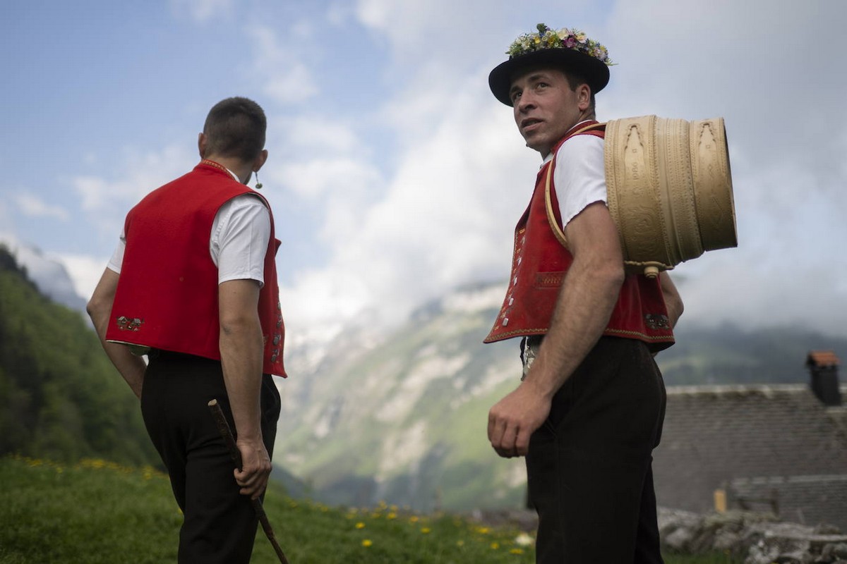 Праздник перегона скота Alpaufzug в Швейцарии