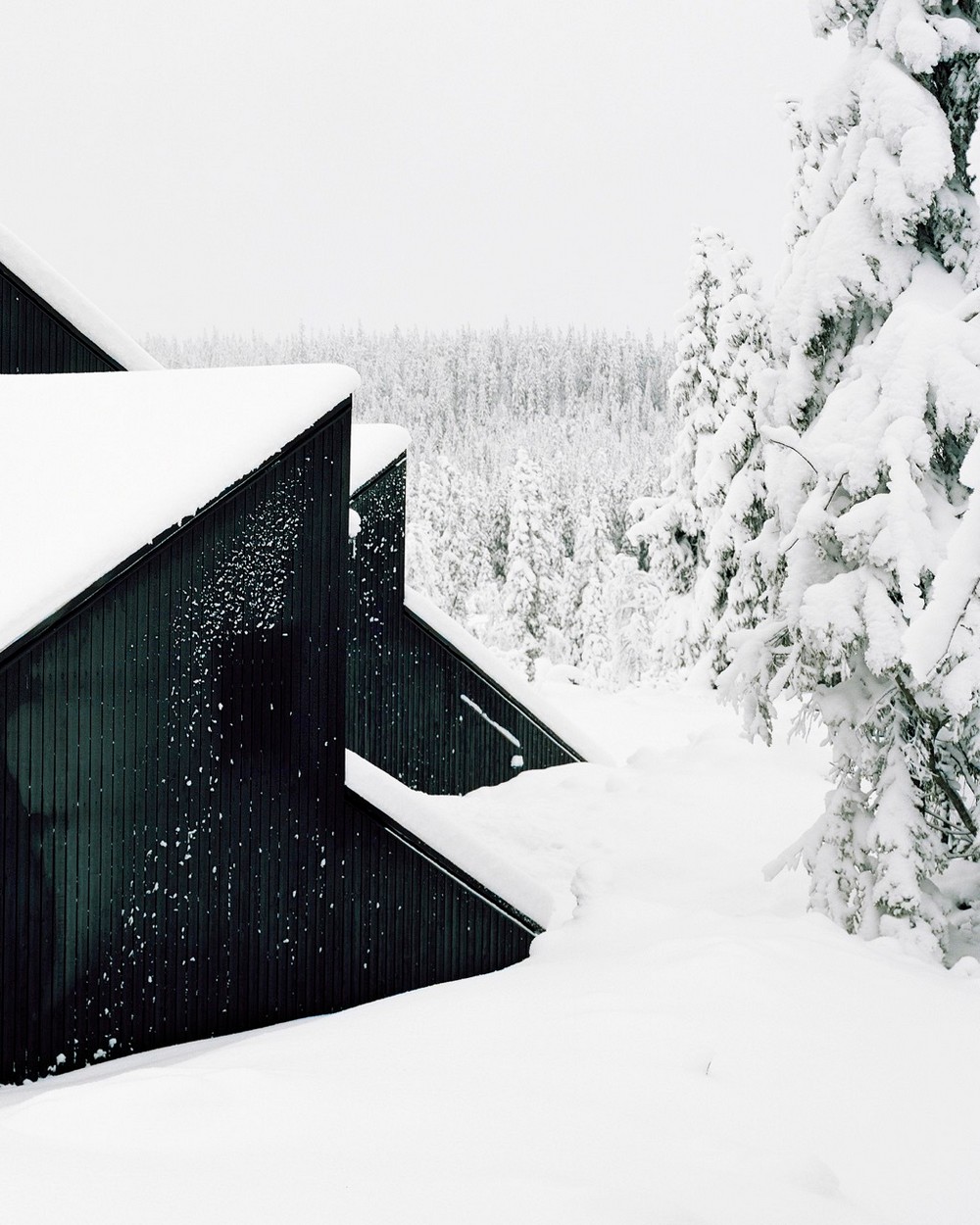 Лесной домик для загородного отдыха в Норвегии