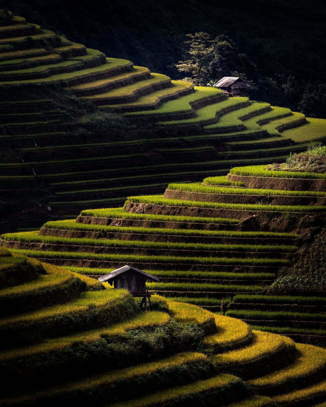 Красота Вьетнама на снимках Чан Туан Вьета