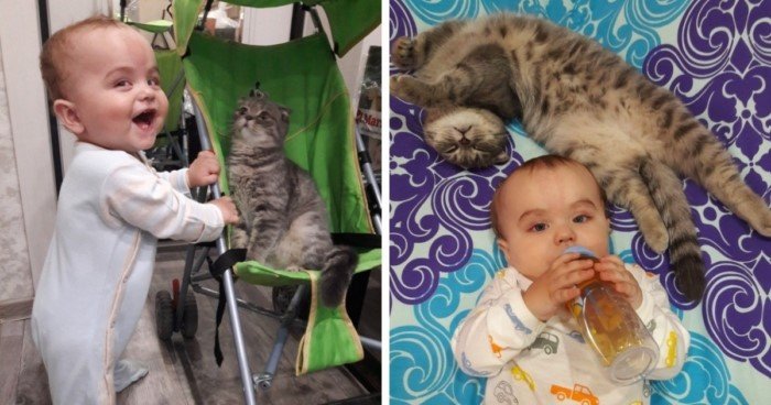 Эти снимки доказывают, что дети и животные просто созданы друг для друга