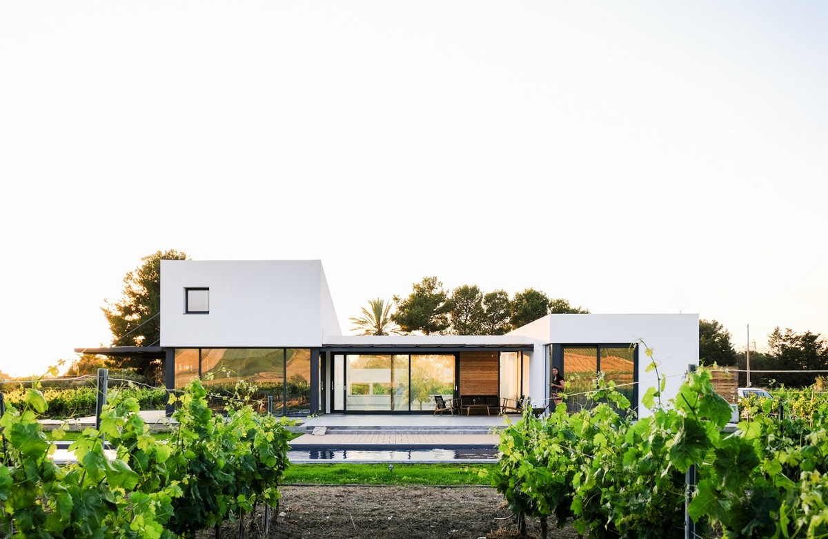 Дом из двух объемов среди виноградника в Италии