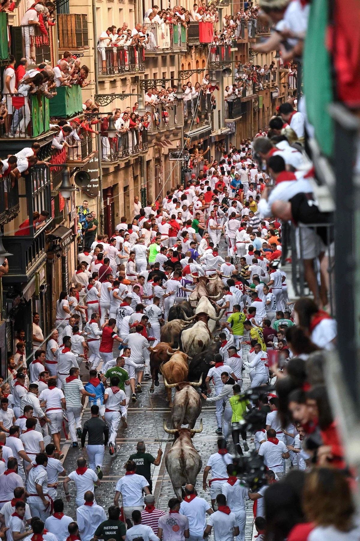 Пробег с быками на фестивале Сан-Фермин в Памплоне