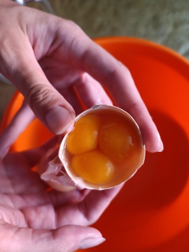 Снимки странных и удивительных куриных яиц