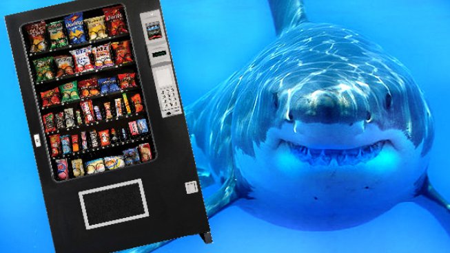 Почему в США безобидные торговые автоматы опаснее больших белых акул