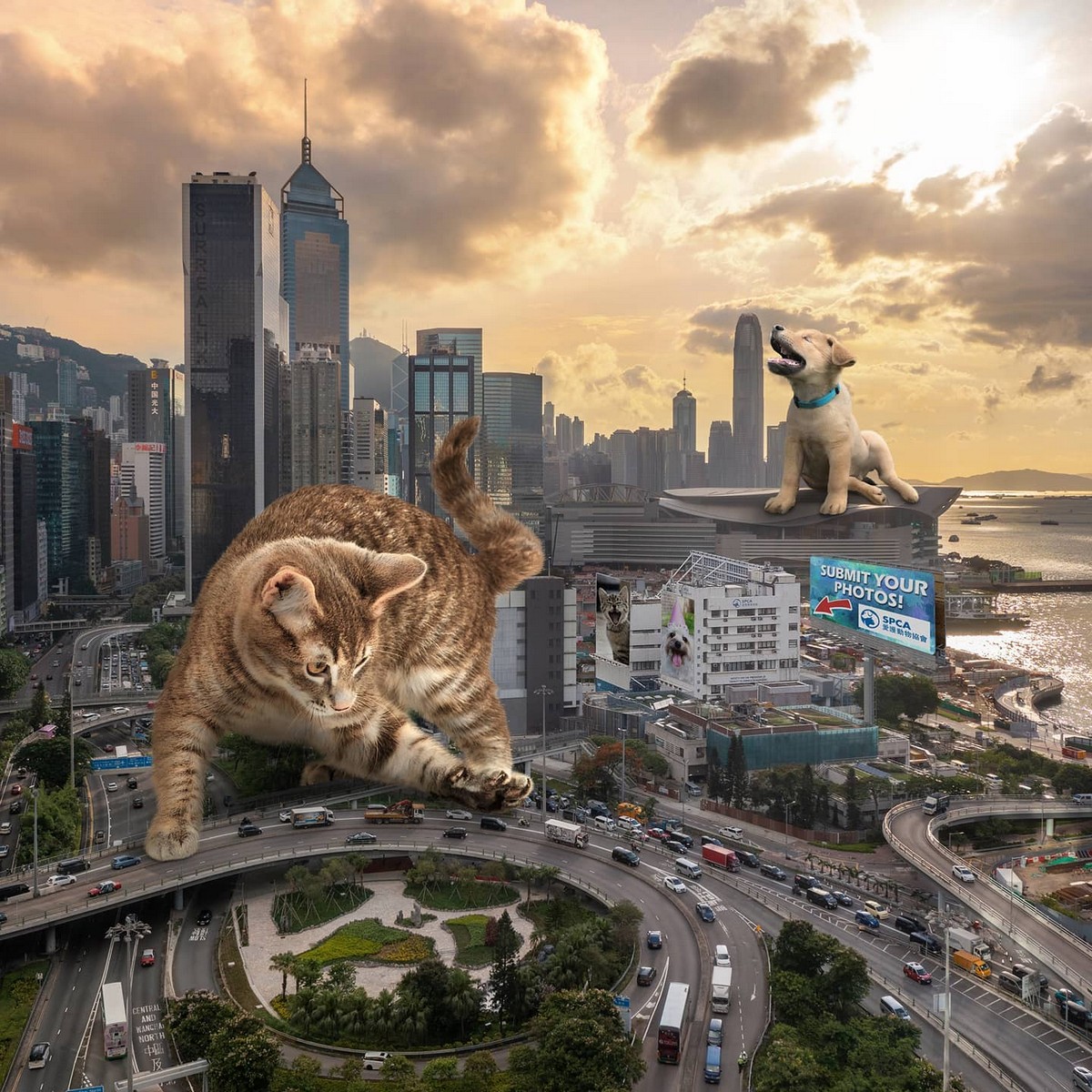 Причудливые сцены на улицах Гонконга от Томми Фанга