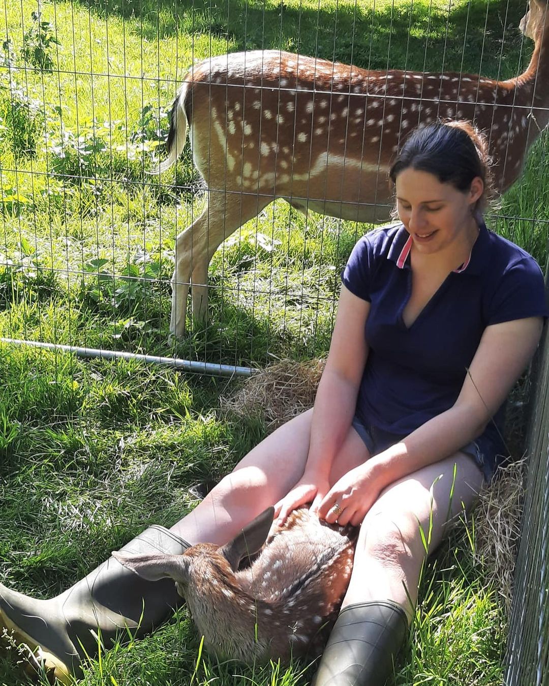 Женщина дружит с двумя оленятами, которых она спасла новорожденными