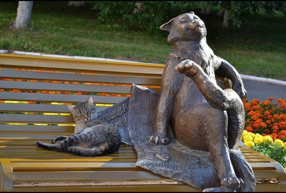 Котики и статуи украшают и дополняют друг друга Животные