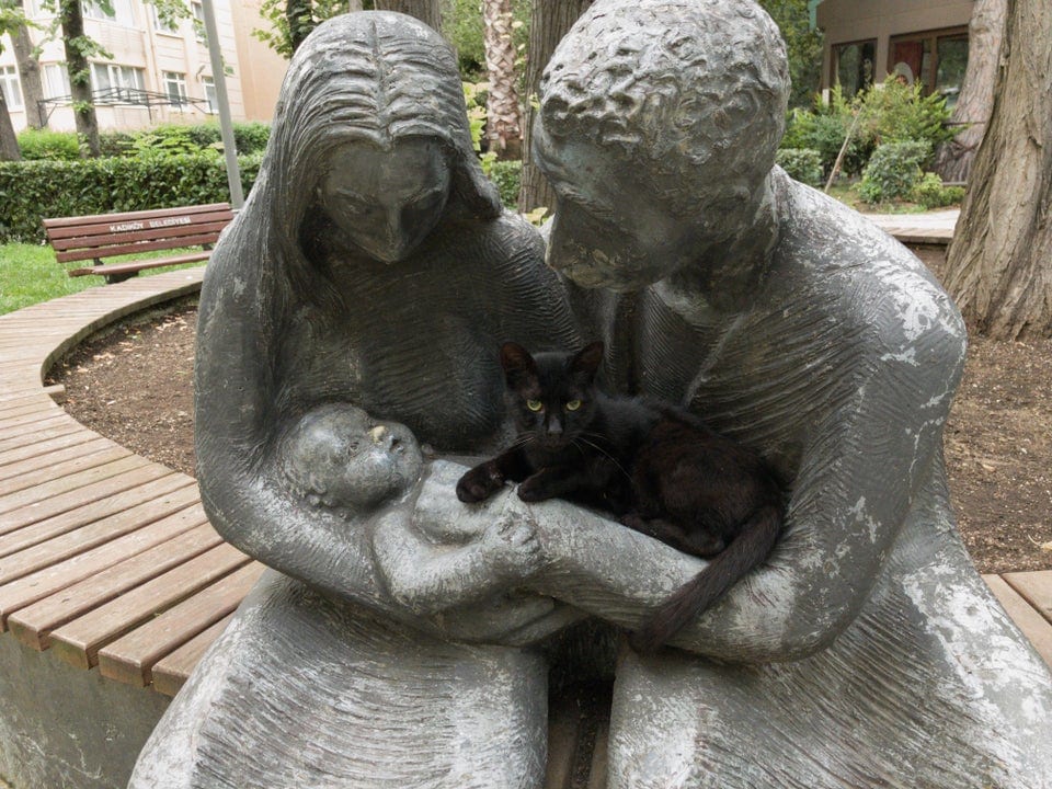 Котики и статуи украшают и дополняют друг друга