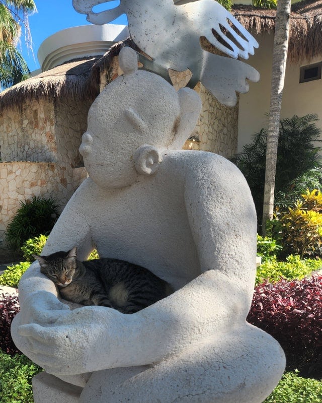 Котики и статуи украшают и дополняют друг друга