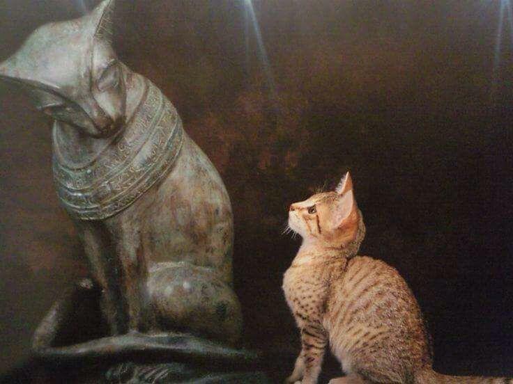 Котики и статуи украшают и дополняют друг друга на руках, статуи, очень, Считается, Хатико, статуей, уснули, 12Котики, 11Напарник, приятеля, нирвану, 10Нашёл, Сибуя, 9Познал, 8Спрятался, предка, величественного, на своего, смотрит, 7Египетский