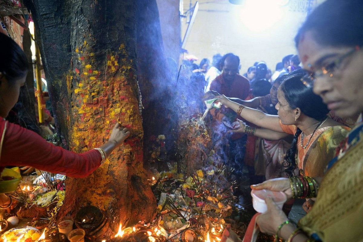 Подношения и поклонение змеям на праздник в Бангалоре
