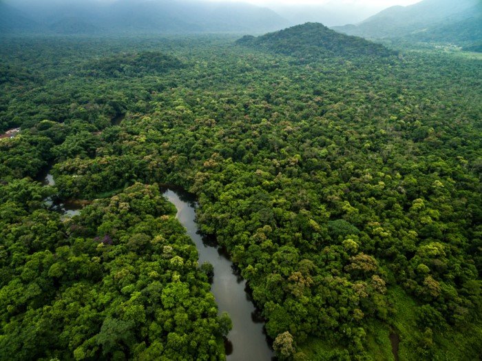 Как учёные нашли легендарные затерянные города в джунглях Амазонки