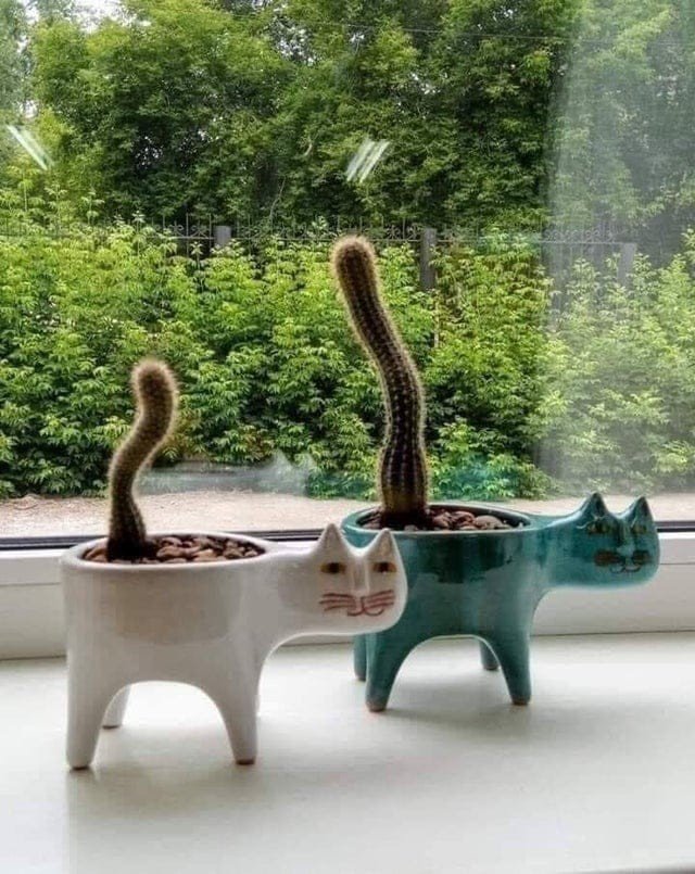 Люди превратили скучные горшки для растений в настоящие арт-объекты