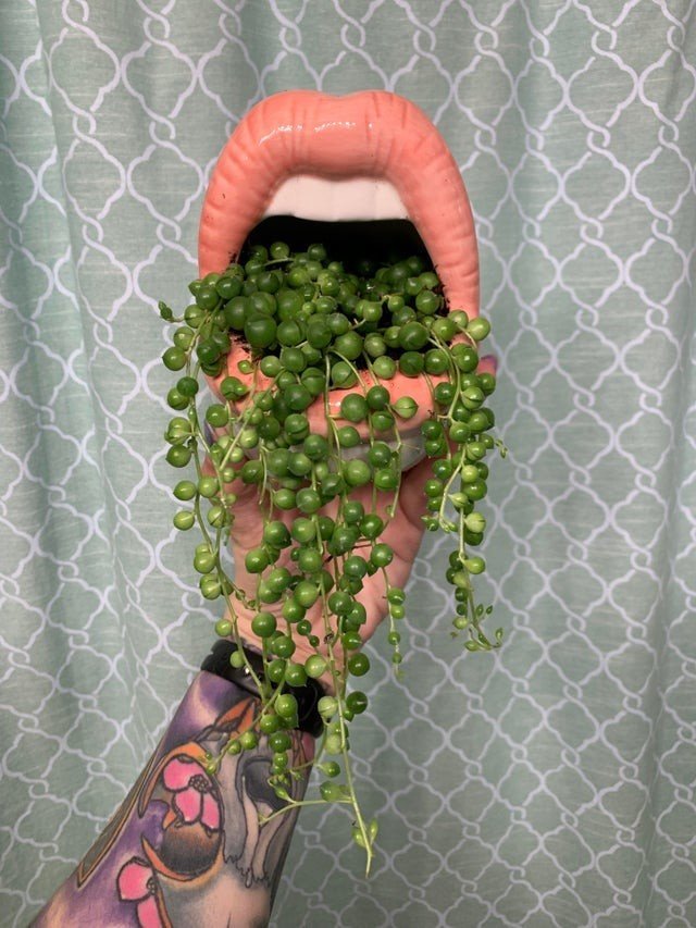 Люди превратили скучные горшки для растений в настоящие арт-объекты