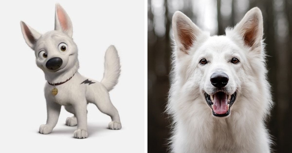 Как мультяшные породы собак выглядят в реальности