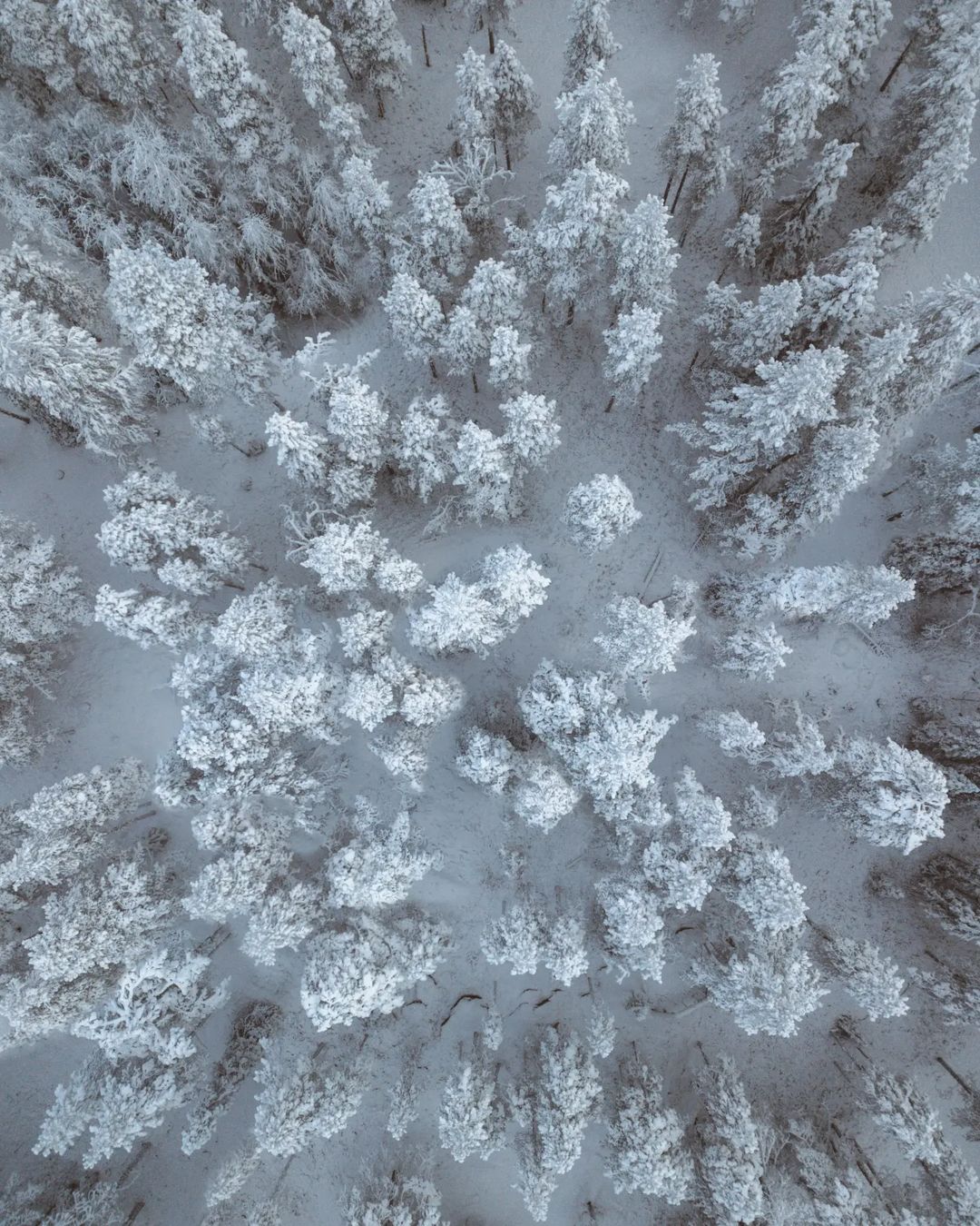 Природа Финляндии на снимках Санни Виеряли