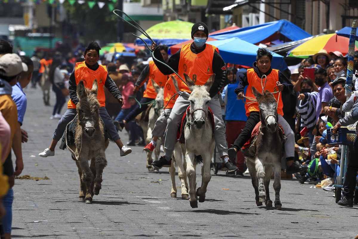 Крупнейшие в мире гонки на ослах в Эквадоре