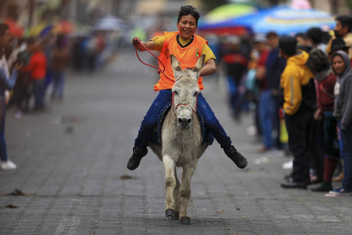 Крупнейшие в мире гонки на ослах в Эквадоре