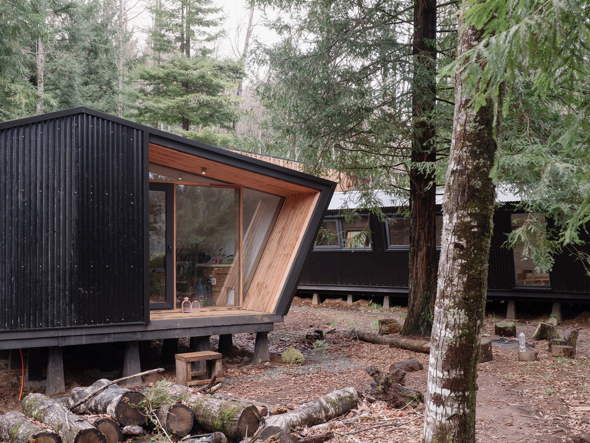 Лесной модульный дом с необычным коридором в Чили