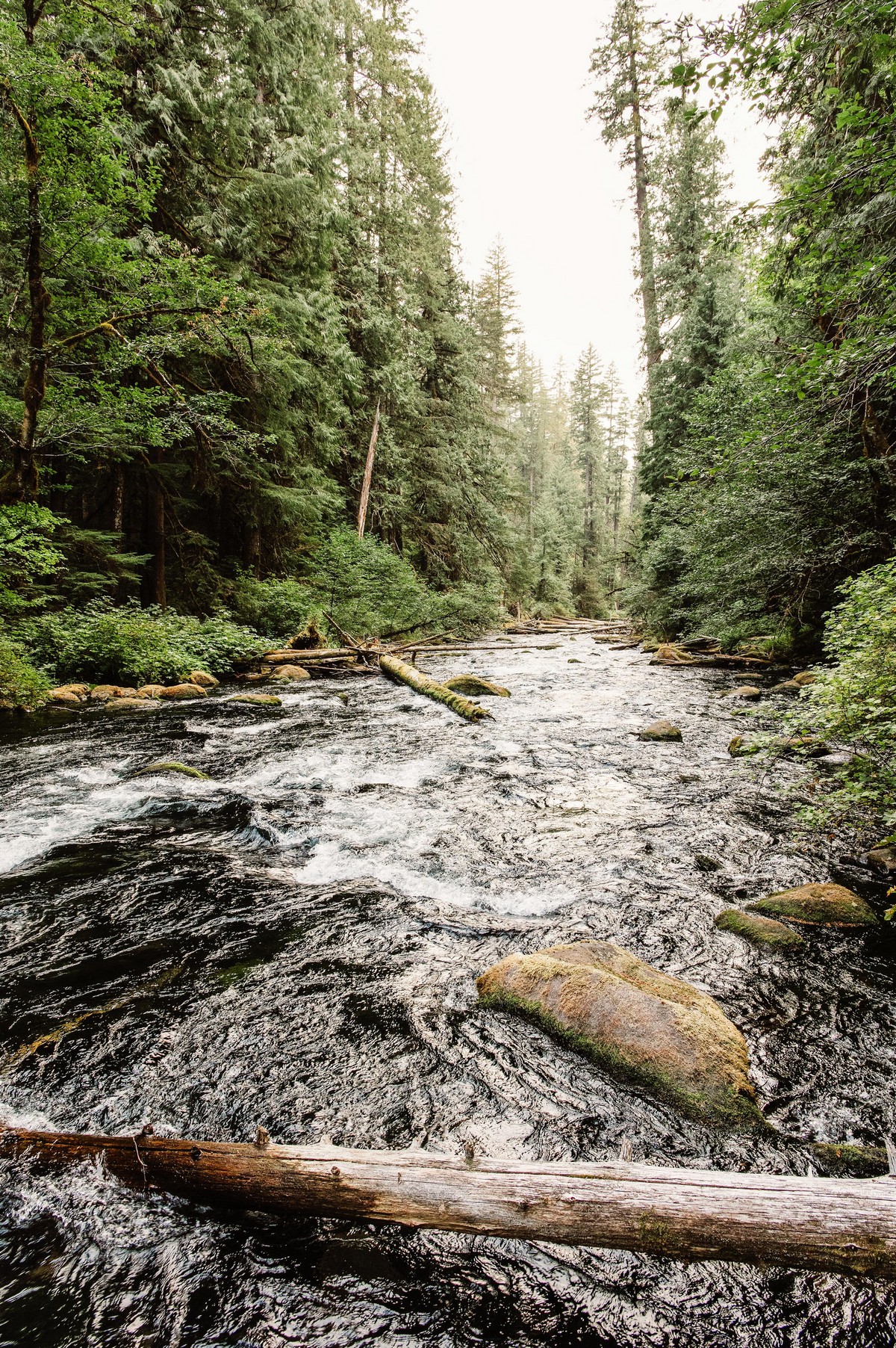 Красота природы на фотографиях Природа