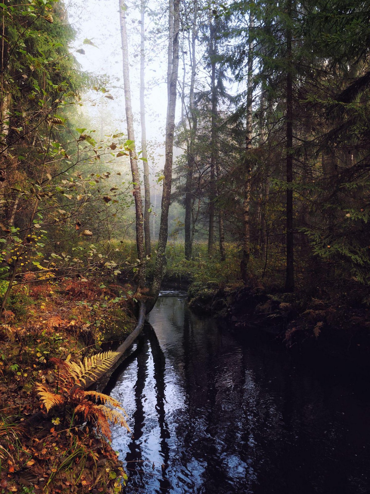 Красота природы на фотографиях Природа