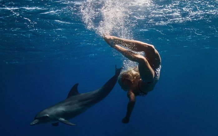Для чего дельфины спасают тонущего человека на самом деле