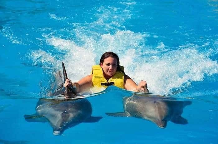 Для чего дельфины спасают тонущего человека на самом деле