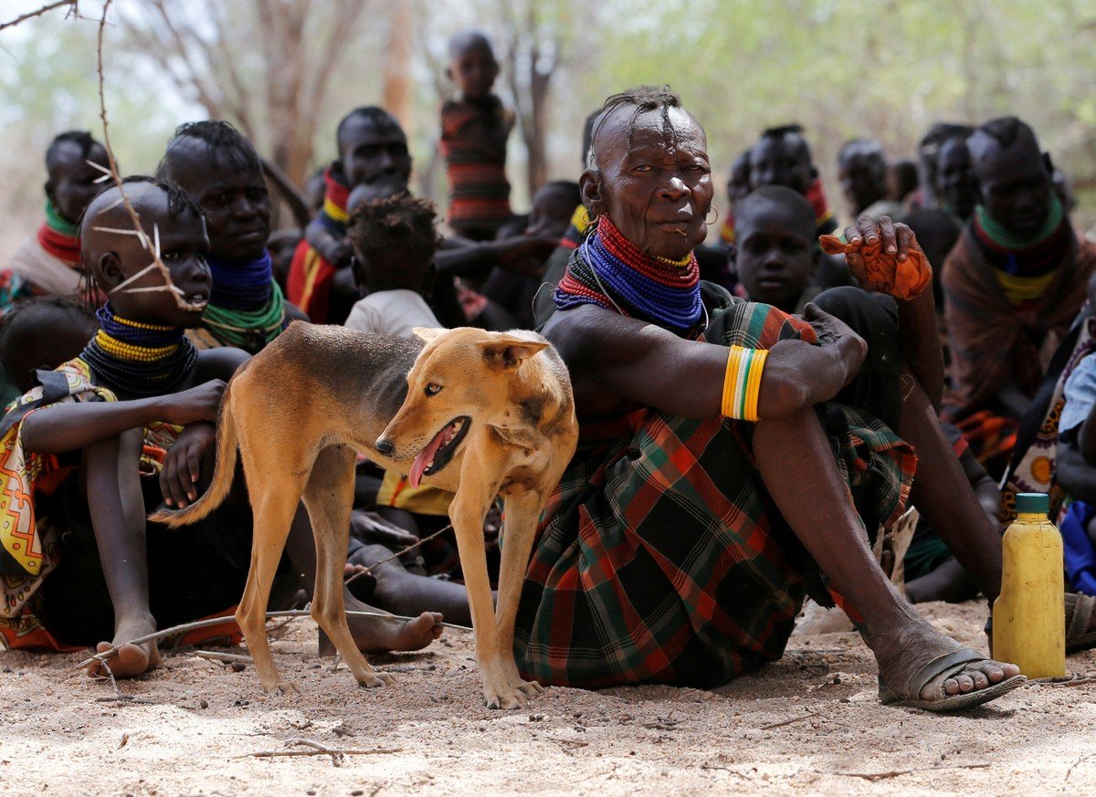 Засуха в Кении уничтожает посевы и домашний скот