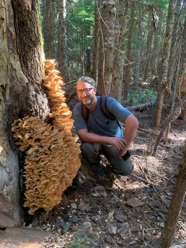 Они отправились по грибы и нашли настоящие грибные сокровища Природа