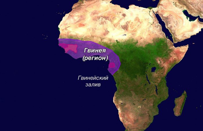 Почему в мире существуют четыре страны с названием Гвинея?