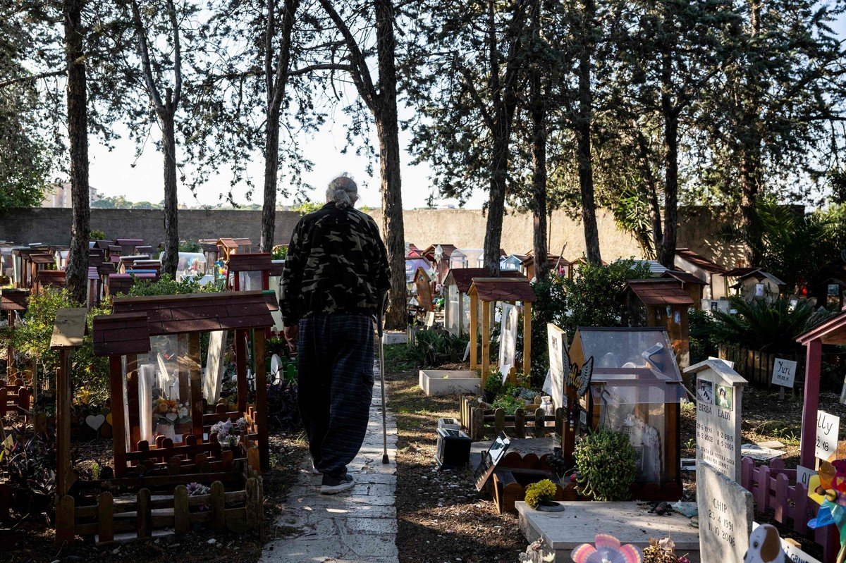 Старейшее кладбище животных в Италии, которому уже 100 лет