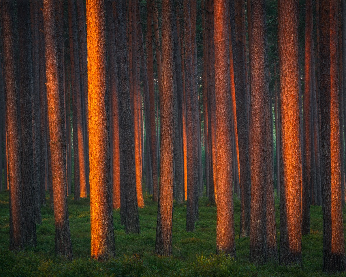 Красота природы Финляндии на снимках Оскара Кесерчи