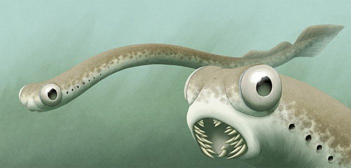 Как зубы появились у животных?