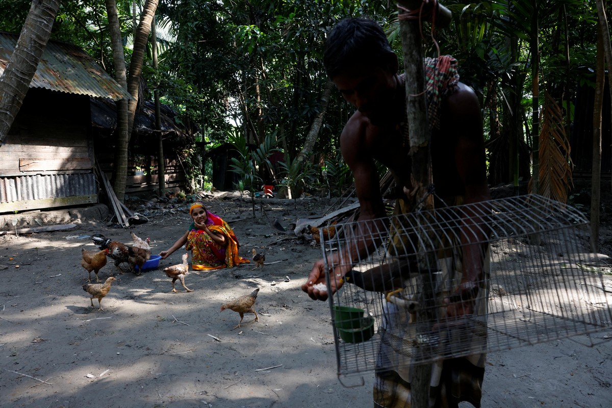 В Бангладеш возрождают плавучие фермы для борьбы с изменением климата