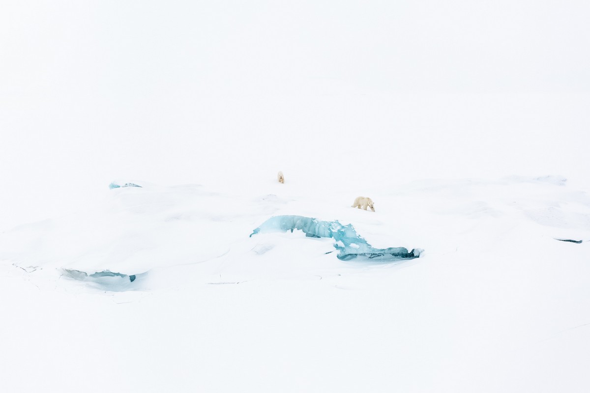 Красоты Арктики на снимках Флориана Леду