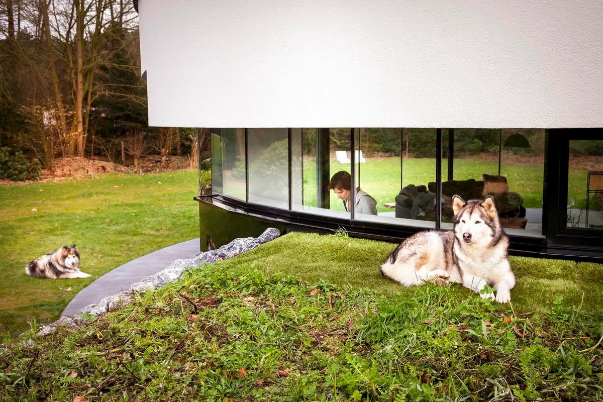 Круглый дом для семейной пары и двух их собак в Нидерландах