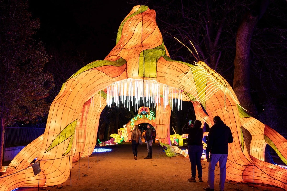 Светящиеся скульптуры на фестивале огней в Ботаническом саду в Париже