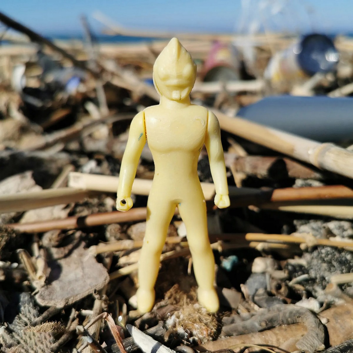 Виртуальный музей пластиковых отходов, найденных на пляжах
