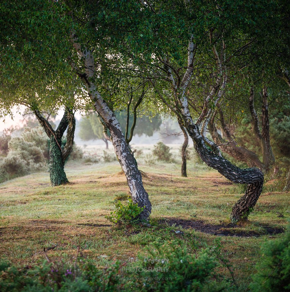 Красота природы на снимках Мика Догерти