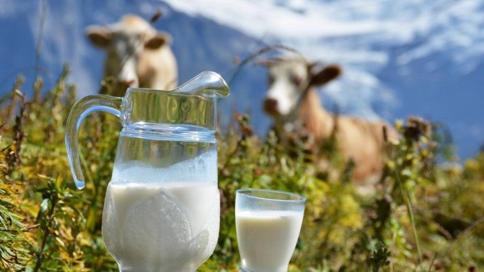 Интересные и познавательные факты о всем знакомом молоке
