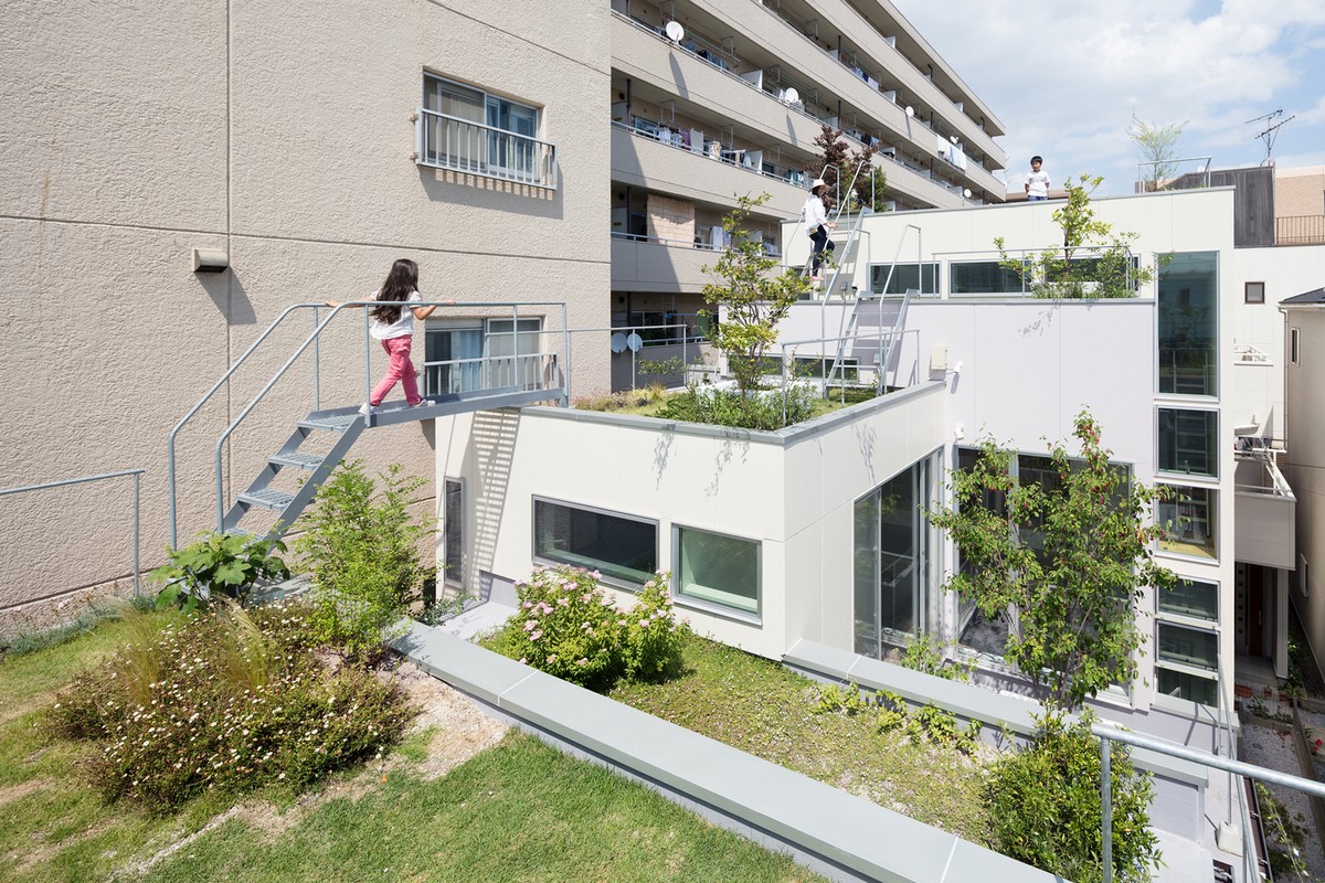 Городской дом с садом на крыше в Японии