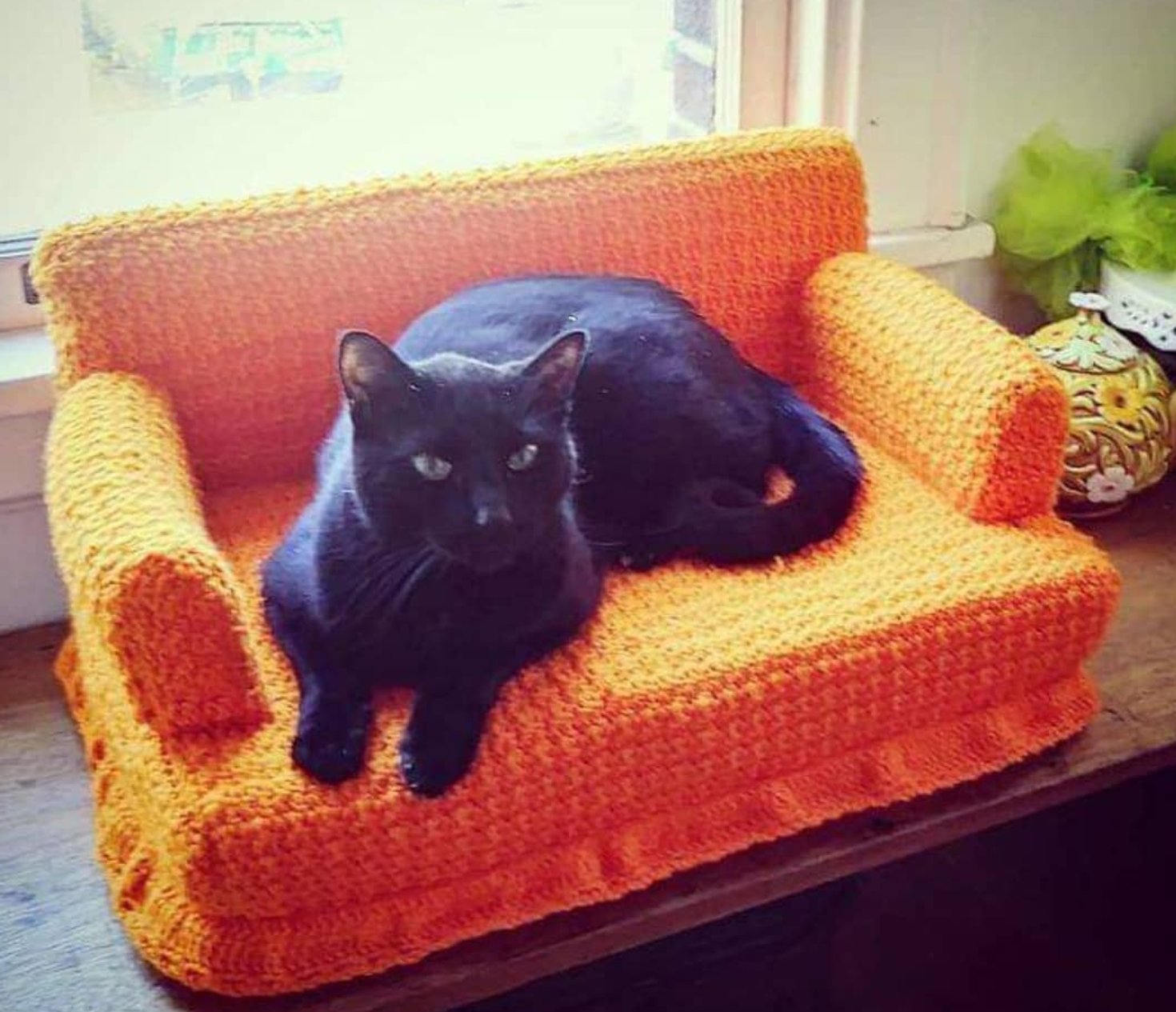Cat sofa оригинал купить. Вязаная кошка на диван. Диванчик для кота. Кот на диване. Вязаный диван для кота.