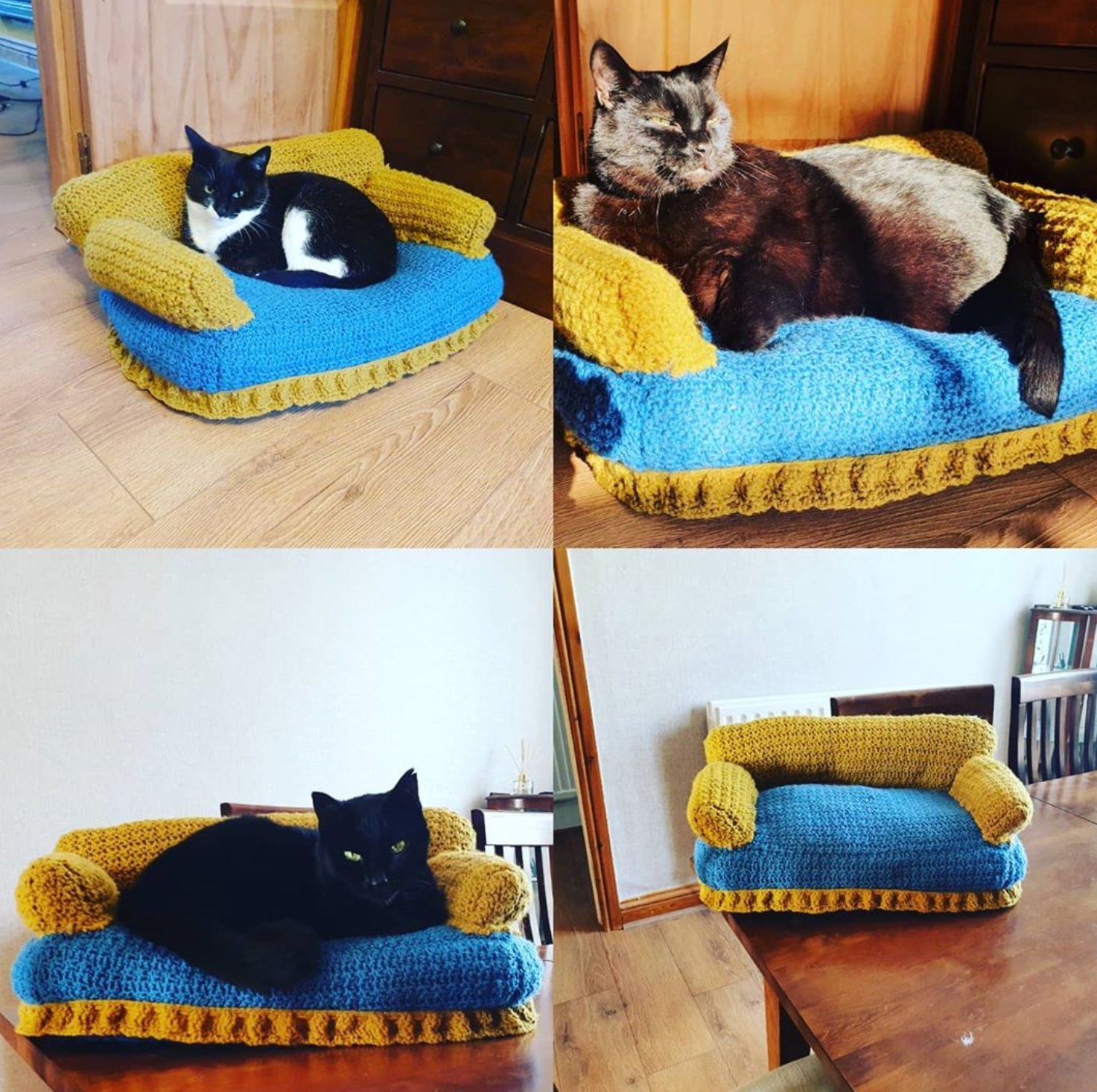 Хозяева вяжут для своих котов милые диванчики