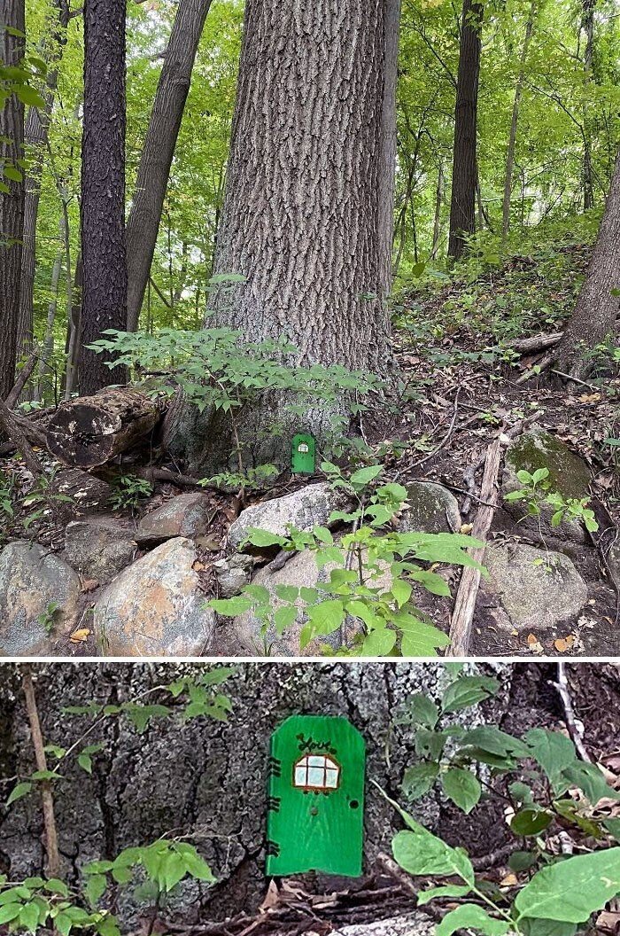 Примеры разных диковинных и неожиданных находок в лесу
