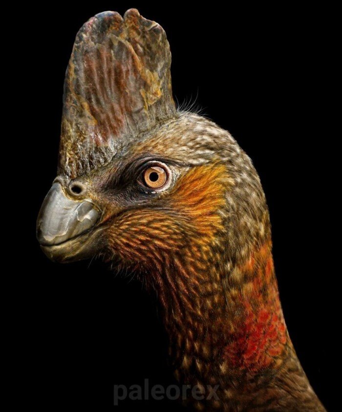 Художник воссоздает доисторических животных в изображениях