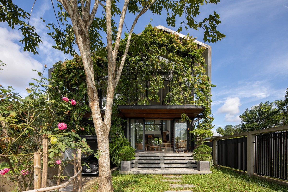 Дом с зелеными лозами на склоне холма во Вьетнаме