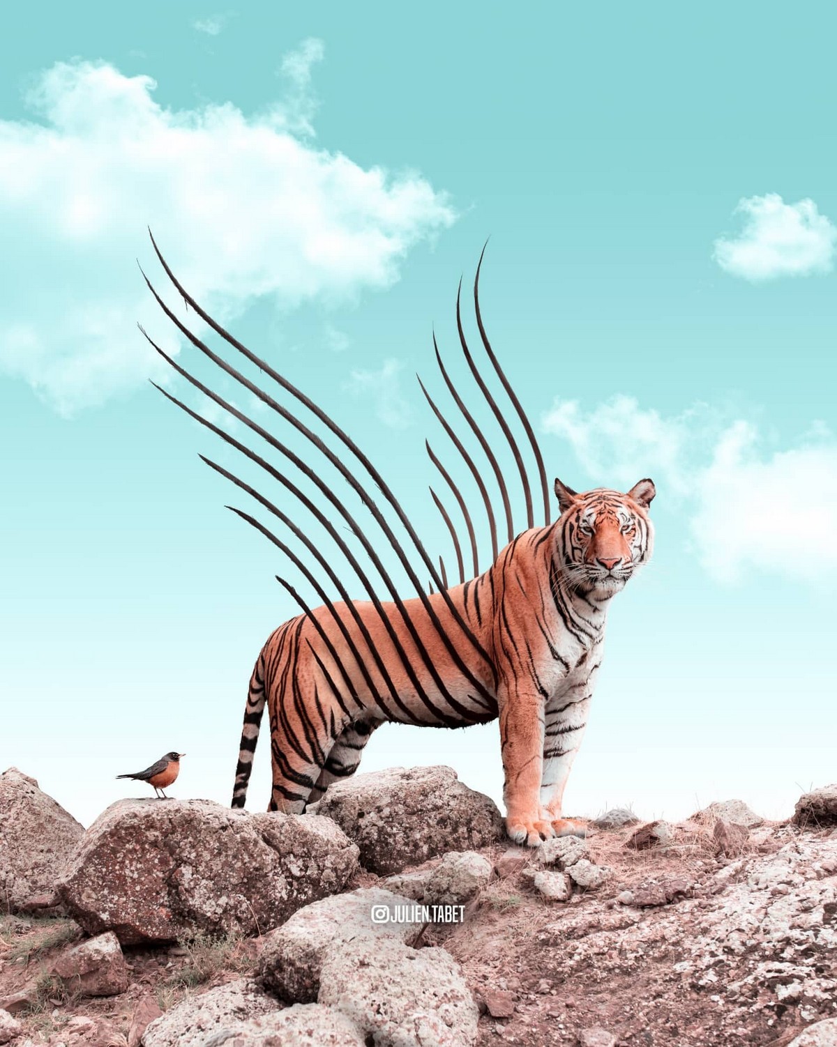 Сюрреалистичные фотоманипуляции с животными от Жюльена Табе