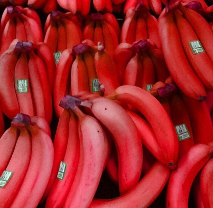 Причудливые виды бананов, которые поразят своим цветом и вкусом