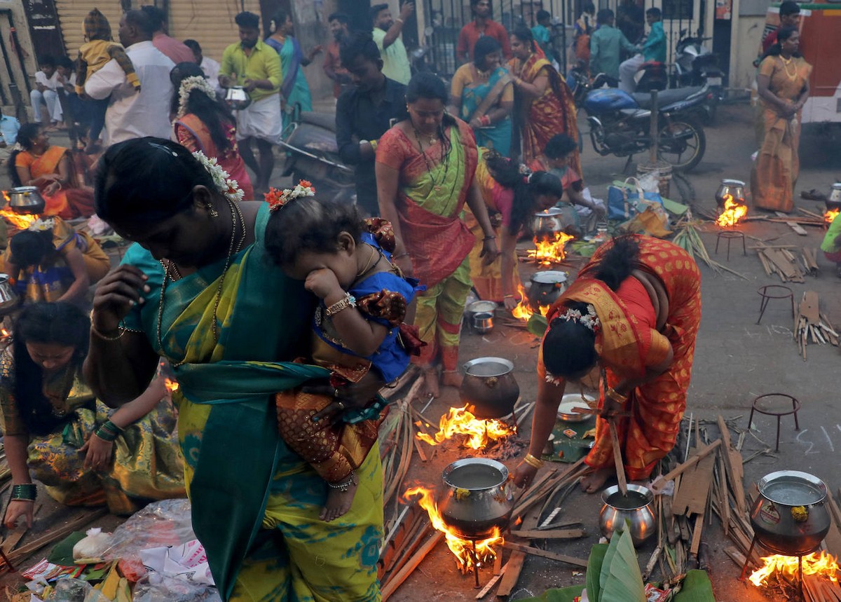 Традиционный праздник урожая Понгал в Индии